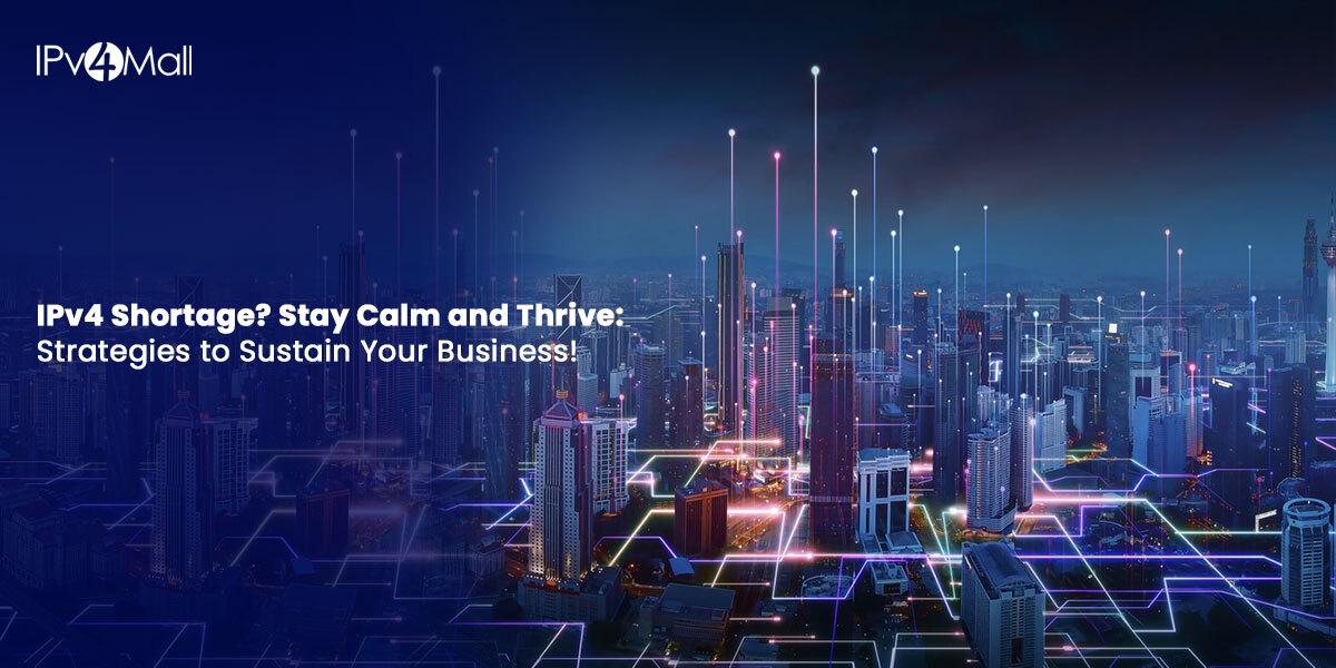 IPv4 Address Exhaustion: Strategies For Businesses To Cope